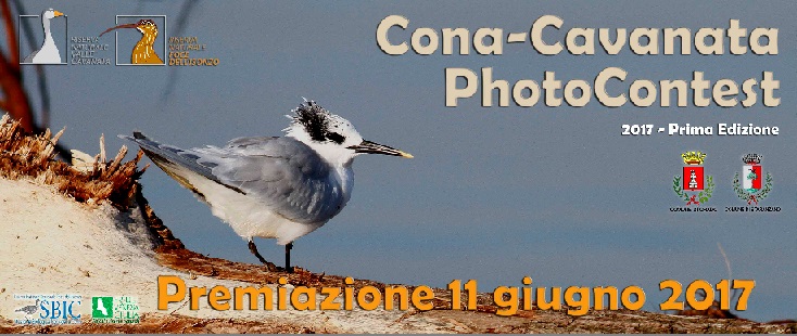 Cona-Cavanata Photocontest
